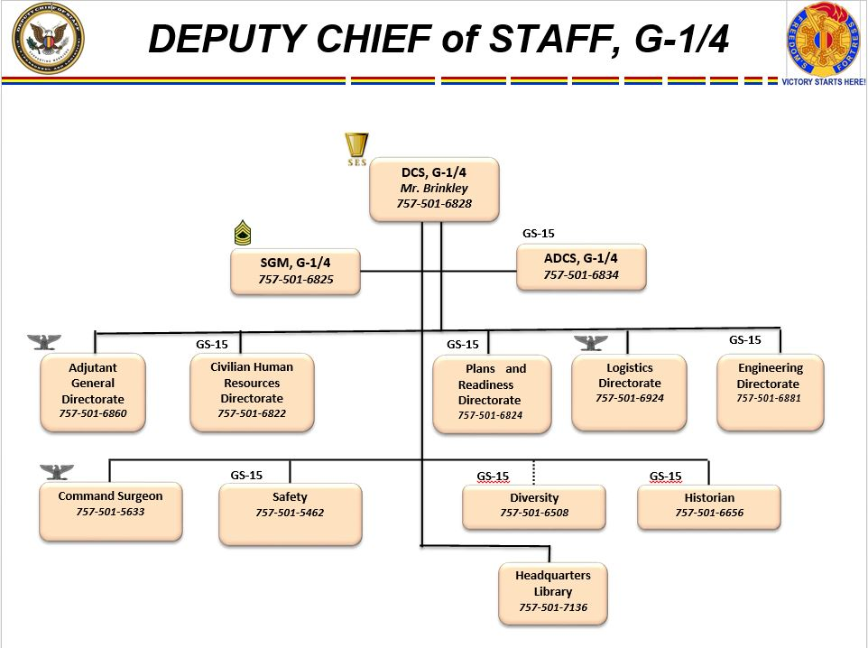 Tradoc Organization Chart | My XXX Hot Girl